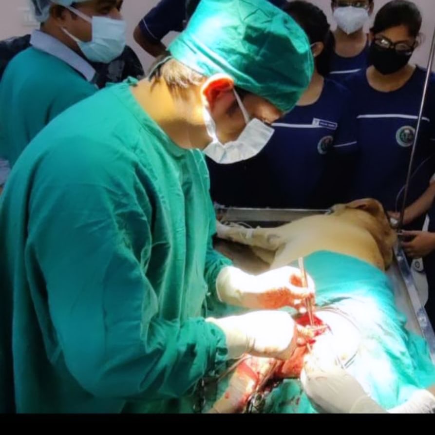 Surgical Procedure